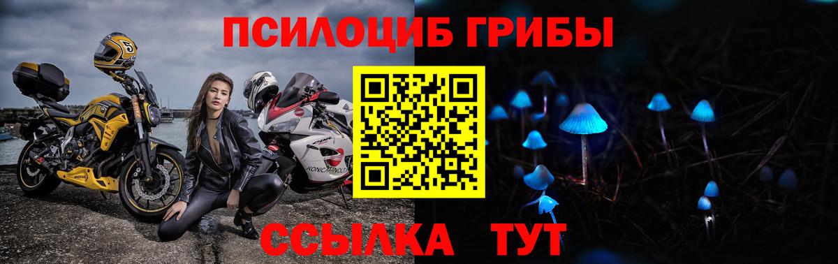 Псилоцибиновые грибы GOLDEN TEACHER  Псилоцибиновые грибы Psilocybine cubensis  Тихвин  Вход с VPN 